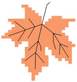 MapleDiagram